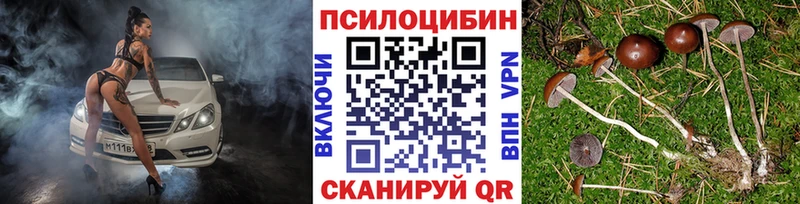 закладка  даркнет наркотические препараты  Галлюциногенные грибы Magic Shrooms  Вельск  МЕГА зеркало 